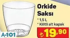 ORKİDE SAKSI ORKİDE SAKSI